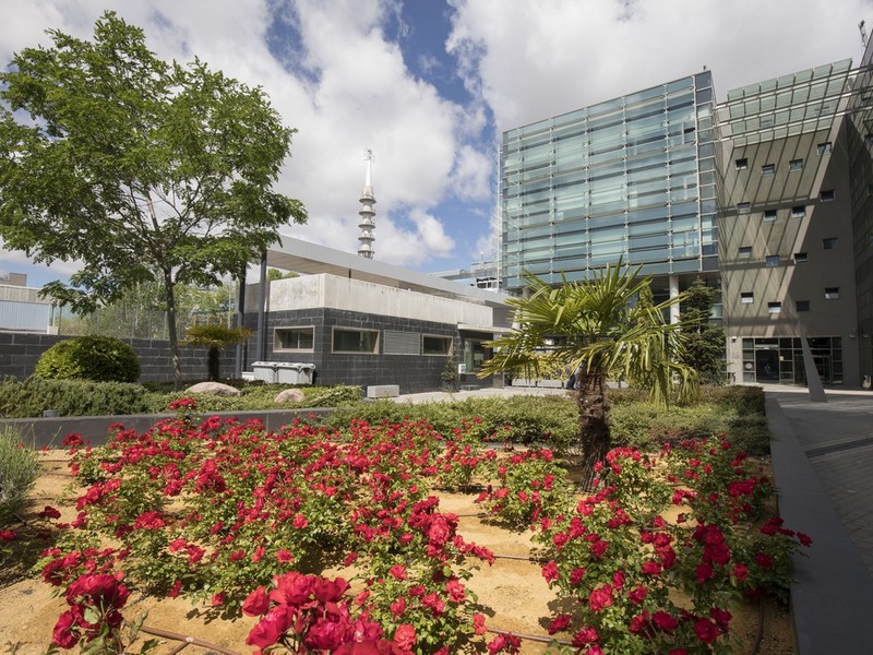 Parque Empresarial Avalon – Santa Leonor 65