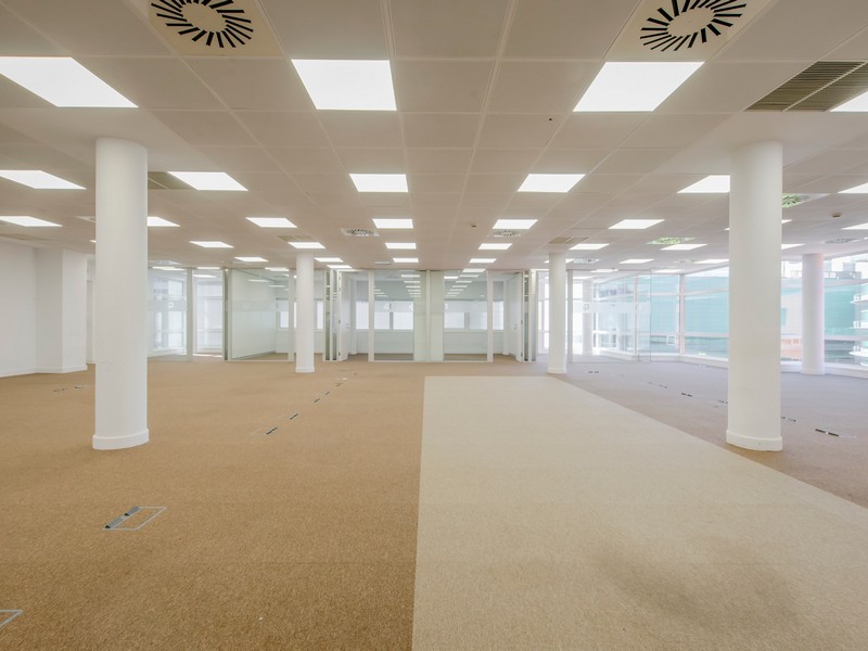 Edificio de Oficinas Julián Camarillo, 29