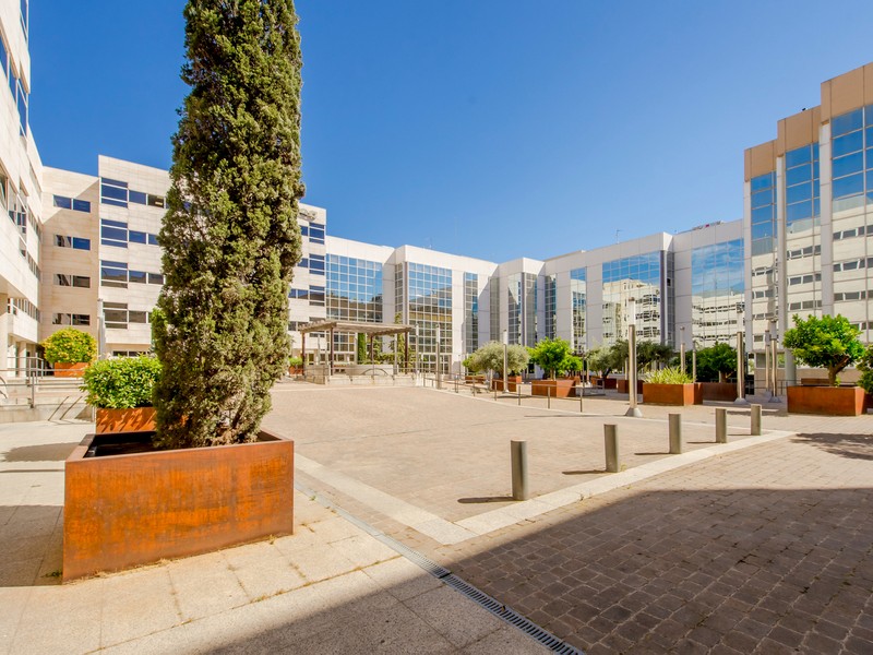 Edificio de Oficinas Julián Camarillo, 29